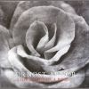 Download track The Death Of A Rose, Part I