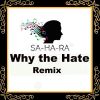 Download track Why The Hate (Remix Short Version)