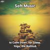 Download track Soft Music, Pt. 13