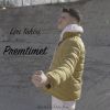 Download track Premtimet