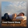 Download track Baby Sleep Sound, Pt. 12