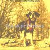 Download track Extraordinary Solo Piano Jazz - Vibe For Puppies