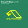 Download track Razorfish (A And B Progressive Mix)