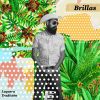 Download track Brillas