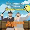 Download track Här Kommer Sommaren – Eurofunk-Varianten (Instrumental)