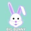 Download track Smooth Model (Big Bunny Remix)