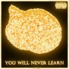 Download track You Will Never Learn (Instrumental)