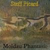 Download track Moldau Phantasie (Reggalele Sacred Picarded Mix)