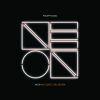 Download track Was Von Uns Bleibt (Neon Acoustic Orchestra)