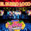 Download track Música Para El Alba / El Burro Loco / La Viejita / La Mula Loca / Son Victoria / Son Del Tlacololero