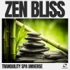 Download track Calm Spa Music