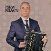 Download track Sarı Gəlin (Qarmonda)