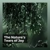 Download track Soundscapes Of Nature Melodies, Pt. 55