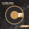 Download track Flying High