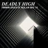 Download track Deadly High