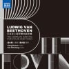 Download track Violin Sonata No. 1 In D Major, Op. 12 No. 1: II. Theme & Variations. Andante Con Moto
