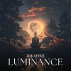 Download track Learned Likened To Luminance