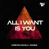 Download track All I Want Is You