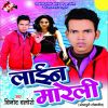 Download track Hamke Sina Se Satle Na