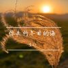 Download track 失去和拥有都由不得我