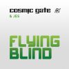 Download track Flying Blind (Norin & Rad Remix)