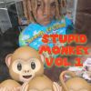 Download track STUPID MONKEY VOL. 1