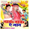 Download track Tu Bari Pati Barha