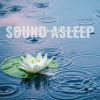 Download track Calming Lotus Pond Water Sounds, Pt. 15