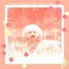 Download track Amazing Doggy Mental Health