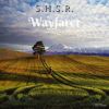 Download track Wayfarer (Different Version)