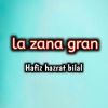 Download track La Zana Gran