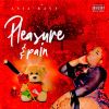 Download track Pleasure & Pain