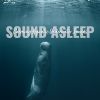 Download track Calming Aquatic Underwater Sounds, Pt. 8