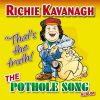 Download track The Pothole Song