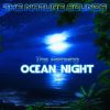 Download track The Relaxing Ocean Night-1