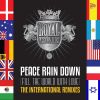 Download track Peace Rain Down (Fill The World With Love) (Oren Amram Synthesize Me Remix)