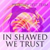 Download track In Shawed We Trust (D-S Neuro Radio Mix)