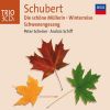 Download track Schwanengesang, D. 957: Nr. 1. Liebesbotschaft