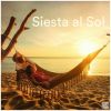 Download track Plazuela De Los Girasoles