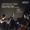 Download track Piano Trio No. 2 In E-Flat Major, D. 929, Op. 100 - IV. Allegro Moderato