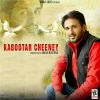 Download track Kabootar Cheeney