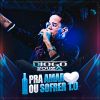 Download track Vida De Pilantra