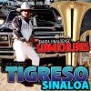 Download track El Cuatrero