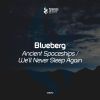 Download track We'll Never Sleep Again