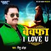 Download track Ja Ja Bewafa