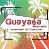 Download track Guayaba En Navidad