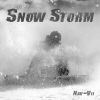 Download track Snow Storm