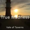 Download track True Madness