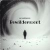 Download track Bewilderment