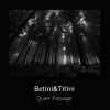 Download track Quiet Passage